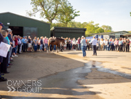 DS091023-29 - Dan Skelton stable visit